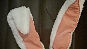 gemmaviola