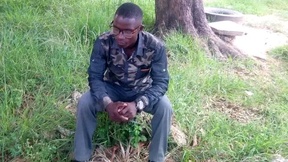 master-stallionbbc12