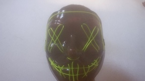 pau-peludo-barreiras-ba