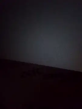 Schamlippenspreitzer