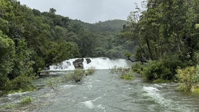 sushma-kannojia