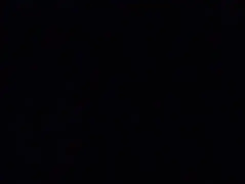 Zorrita_Fox