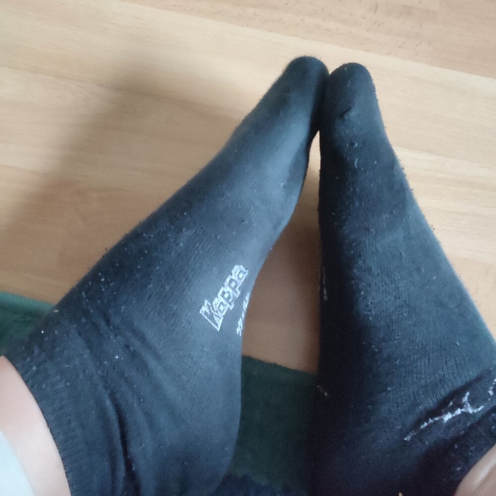 boxerundsocken91