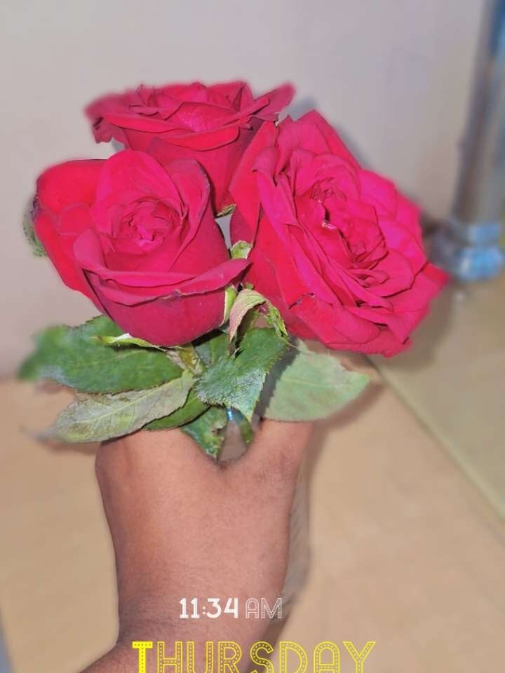 chandhutelugugirlhyd