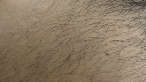 disporeelgrossebite