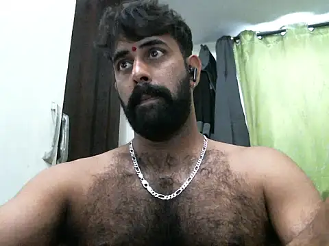 indianhairybull