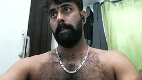 indianhairybull