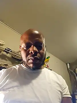 personalityalwayswins2